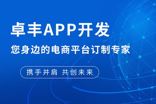 app满减商城 嵩县app 多图